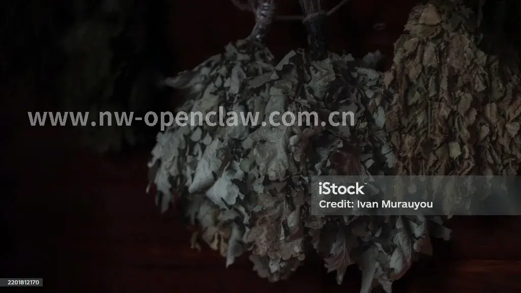 经络疏通
