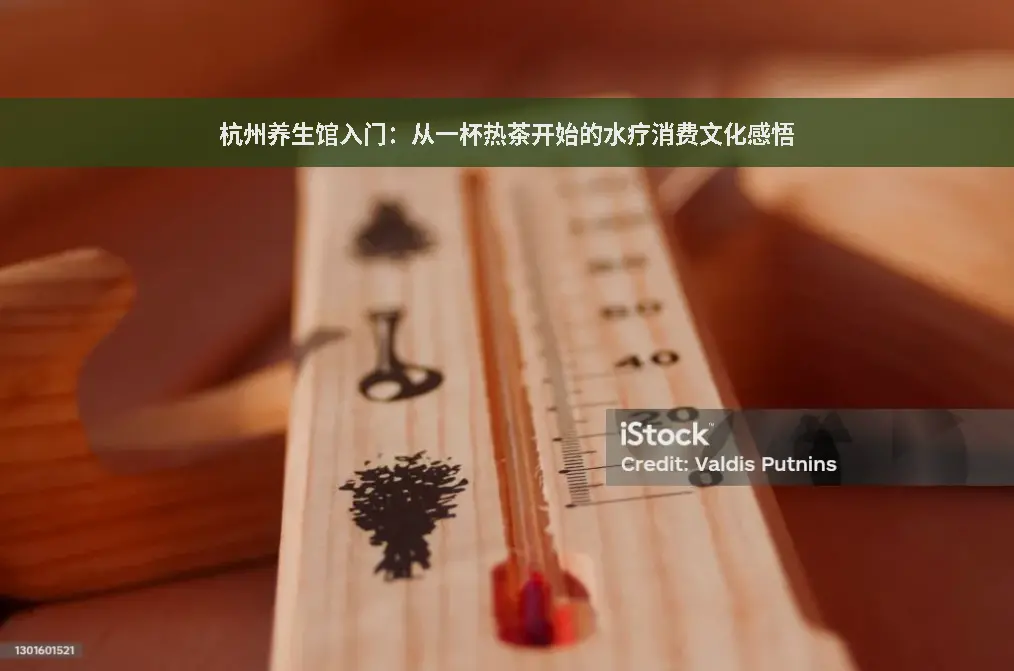 杭州品茶网